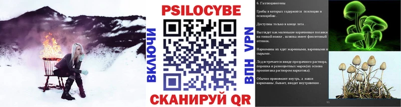 Псилоцибиновые грибы мухоморы  Купить закладки  Мосальск 